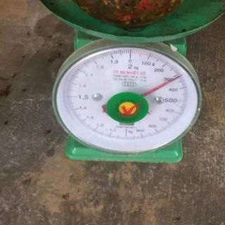 chẩm chéo