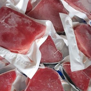 cá ngừ đại dương cảng Đông tác cá thu cá cờ mực lá đại dương