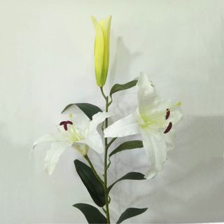 Các loại hoa giả
