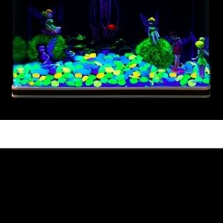 đá Dạ quang phát sáng trong đêm trang trí sân vườn