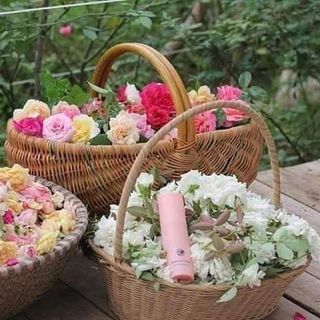 Nước hoa hồng Laco