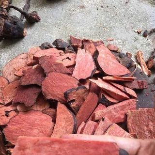 Hà Thủ Ô đỏ - Thảo Tây Bắc