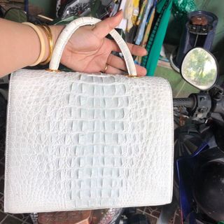 Túi xách cá sấu bạch tạng