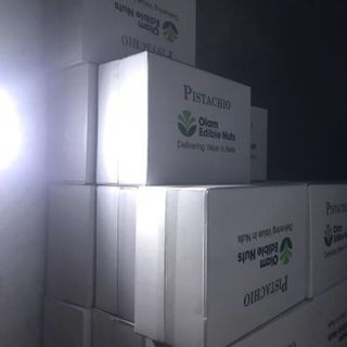 Hạt dẻ mỹ không tẩy trắng