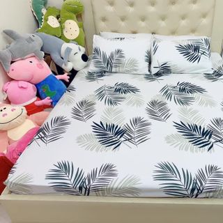 Set ga vỏ gối cotton poly
