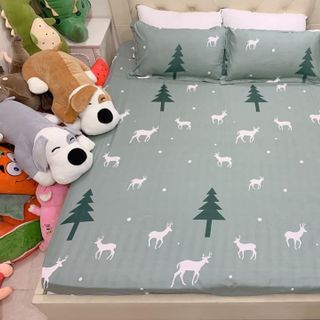 Set ga vỏ gối cotton poly