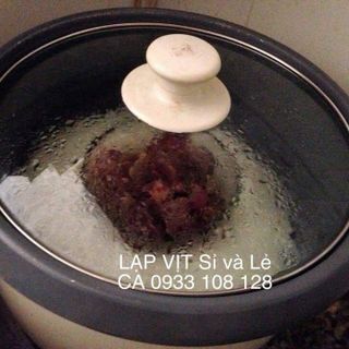 LẠP VỊT SỈ và LẺ