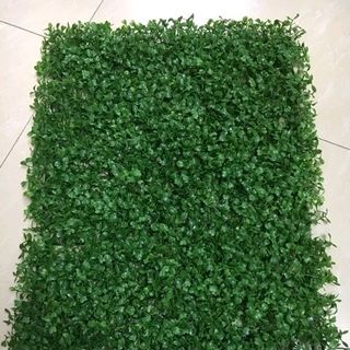 Thảm cỏ xoong trang trí sự kiện cửa hàng nhà cửa