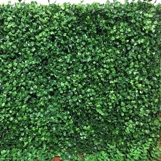Thảm cỏ xoong trang trí sự kiện cửa hàng nhà cửa