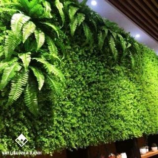 Cỏ tai chuột kích thước 4060cm trang trí tường-Cỏ giả