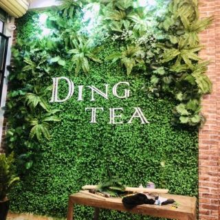 Cỏ tai chuột kích thước 4060cm trang trí tường-Cỏ giả