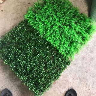 Thảm cỏ xoong trang trí sự kiện cửa hàng nhà cửa