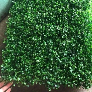 Thảm cỏ xoong trang trí sự kiện cửa hàng nhà cửa