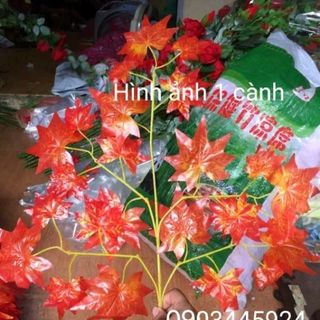Cành Lá Phong Đỏ 25 lá Giá sỉ- Lá giả