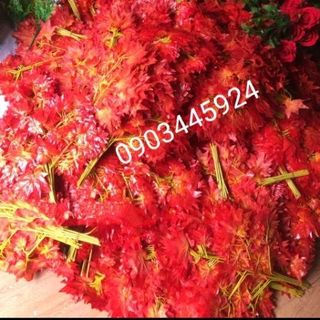Cành Lá Phong Đỏ 25 lá Giá sỉ- Lá giả