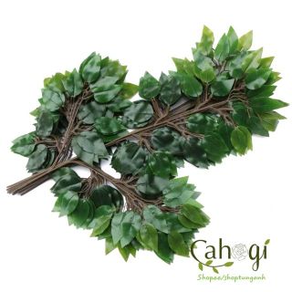 Lá Cây Giả-Lá Si Xanh Làm Cây Backgroud