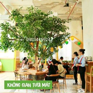 Lá Cây Giả-Lá Si Xanh Làm Cây Backgroud