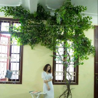 Lá Cây Giả-Lá Si Xanh Làm Cây Backgroud