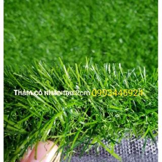 Thảm Cỏ Nhân Tạo Cao 2cm-Thảm Cỏ Nhân Tạo