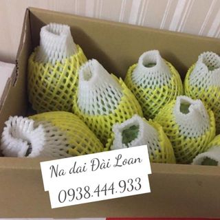 NA DAI ĐÀI LOAN hay MẢNG CẦU ĐÀI LOAN