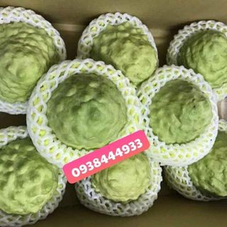NA DAI ĐÀI LOAN hay MẢNG CẦU ĐÀI LOAN