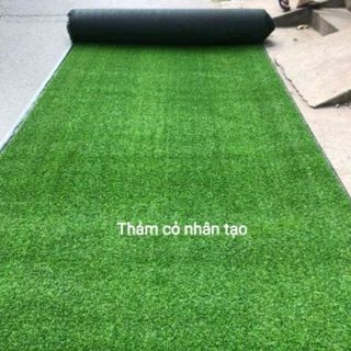 Thảm Cỏ Nhân Tạo Cao 2cm-Thảm Cỏ Nhân Tạo