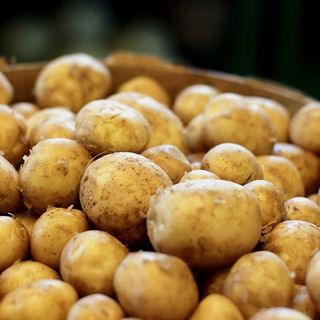 Khoai Tây Hồng Đà Lạt Chemical-Free