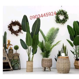 cây chuối giả cảnh Cao 1m2 có Ảnh Thật kèm chậu đen