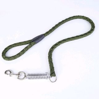 dây dắt trợ lực