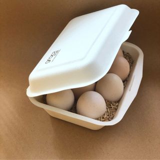 Trứng gà ta - an toàn không tồn dư kháng sinh tăng trọng kích đẻ