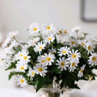 Cúc Hoạ Mi cao cấp giống thật- Hoa Giả