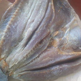 khô cá rún khô cá rún nấu sim lo khô cá rún cà mau khô cá rún khô cá rún ngon nhất khô cá rún giá sỉ khô cá rún giá rẻ khô cá rún đặc sản đặc sản cà mau đặc sản miền tây quà biếu tết quà tết