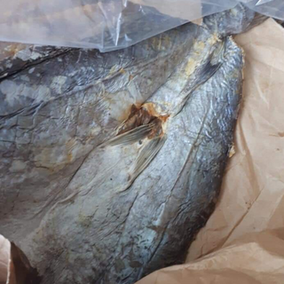 khô cá rún khô cá rún nấu sim lo khô cá rún cà mau khô cá rún khô cá rún ngon nhất khô cá rún giá sỉ khô cá rún giá rẻ khô cá rún đặc sản đặc sản cà mau đặc sản miền tây quà biếu tết quà tết