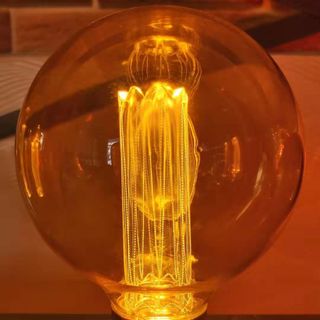 bóng đèn led tròn FGG125-X 40W