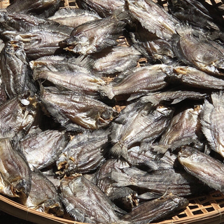 khô cá bổi lạc khô cá sặ rằn khô cá sặc khô cà mau khô cá sặc rằn cà mau khô bỗi lạc cà mau khô cá sặc ngon khô cá sặc giá rẻ khô cá sặc khô giá sỉ quà biếu tết quà tết