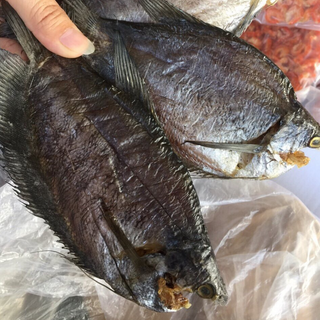khô cá bổi lạc khô cá sặ rằn khô cá sặc khô cà mau khô cá sặc rằn cà mau khô bỗi lạc cà mau khô cá sặc ngon khô cá sặc giá rẻ khô cá sặc khô giá sỉ quà biếu tết quà tết