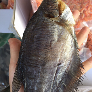 khô cá bổi lạc khô cá sặ rằn khô cá sặc khô cà mau khô cá sặc rằn cà mau khô bỗi lạc cà mau khô cá sặc ngon khô cá sặc giá rẻ khô cá sặc khô giá sỉ quà biếu tết quà tết