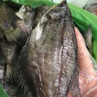 khô cá bổi lạc khô cá sặ rằn khô cá sặc khô cà mau khô cá sặc rằn cà mau khô bỗi lạc cà mau khô cá sặc ngon khô cá sặc giá rẻ khô cá sặc khô giá sỉ quà biếu tết quà tết