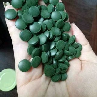tảo xoắn