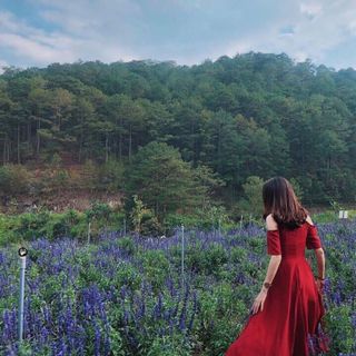 ĐẦM XOÈ ĐỎ RỚT VAI