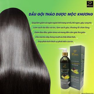 Dầu Gội Mộc Khương