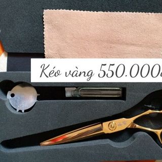 kéo vàng giá sỉ