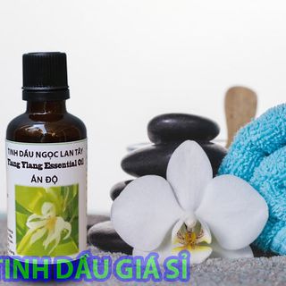 Tinh Dầu Ngọc Lan Tây 50ml Giá Sỉ - Giá Bán Buôn