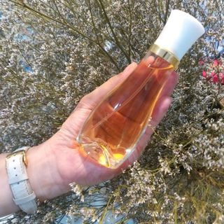 Nước Hoa Suddenly 50ml