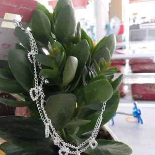 vòng tay lắc tay