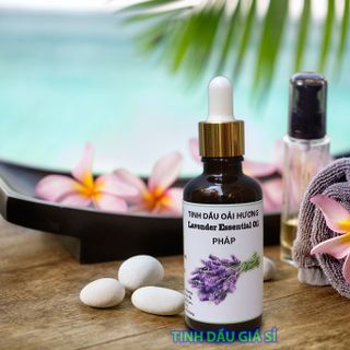 Tinh Dầu Oải Hương Lavender 50ml Giá Sỉ - Giá Bán Buôn