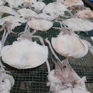Đặc sản khô biển Kiên Giang