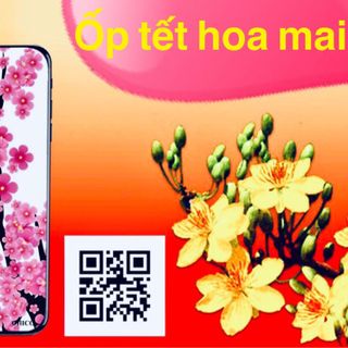 Ốp kinh hoa mai giá sỉ