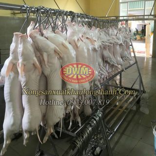 Thịt Lợn Sạch Đông Lạnh -
