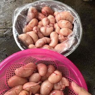 Kê gà,trứng non